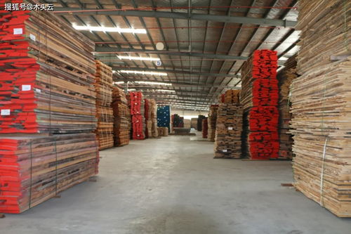 木头人集团实体产业与产品服务介绍