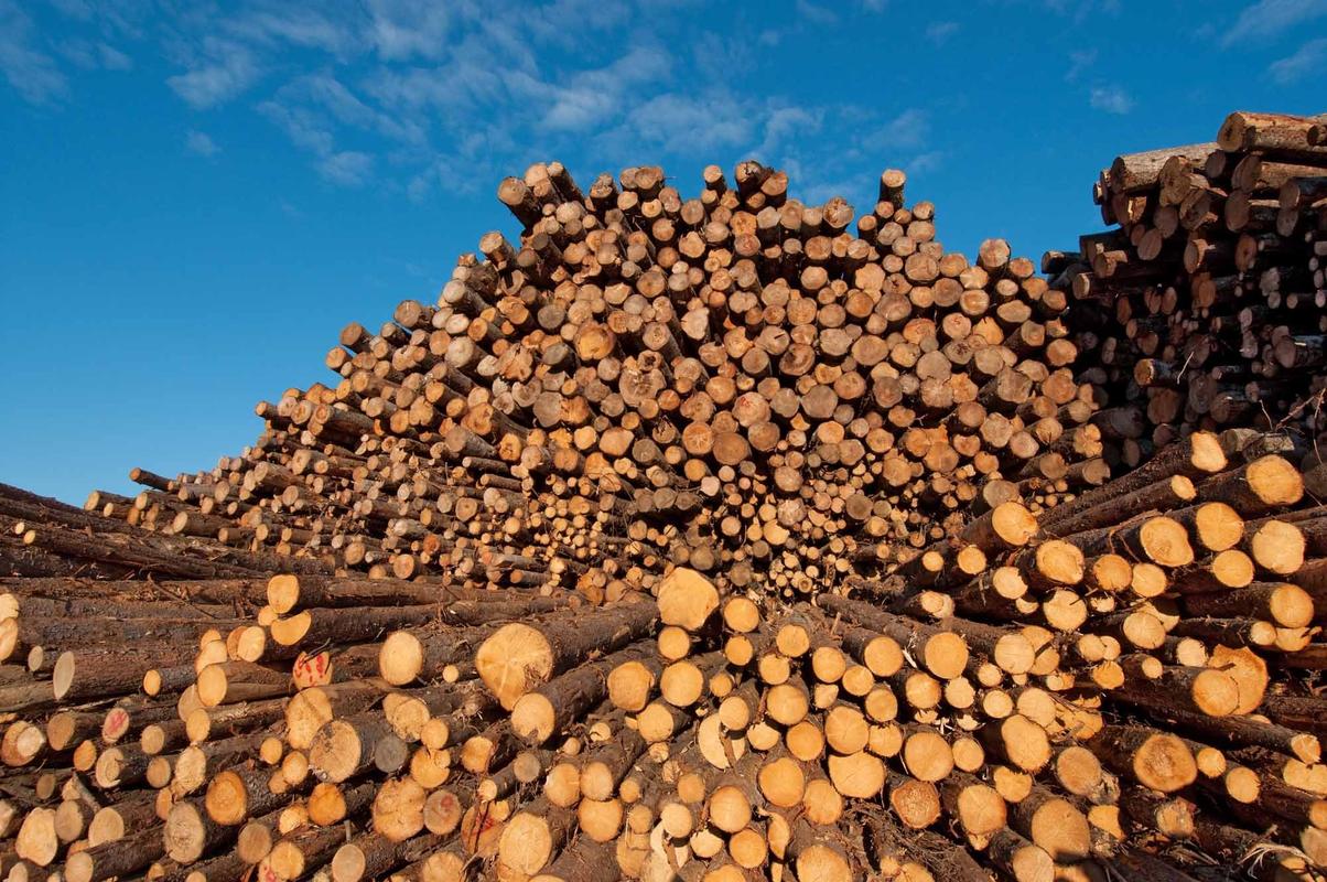而由于加拿大与美国之间因该类产品发生争端,加拿大许多木材企业纷纷